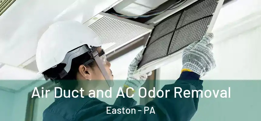  Air Duct and AC Odor Removal Easton - PA