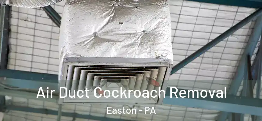  Air Duct Cockroach Removal Easton - PA