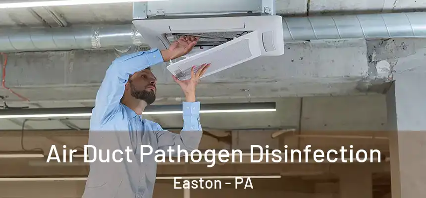  Air Duct Pathogen Disinfection Easton - PA
