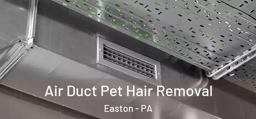  Air Duct Pet Hair Removal Easton - PA