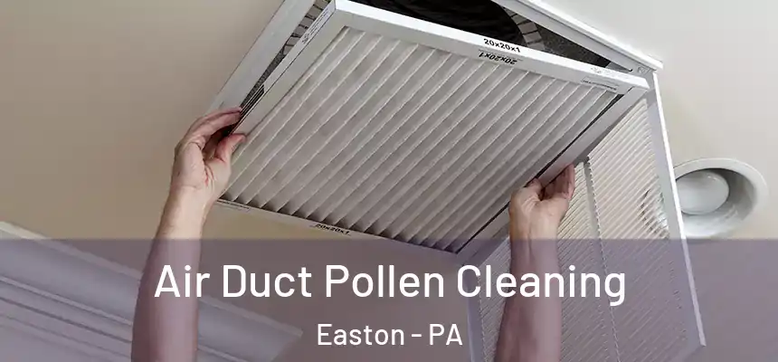  Air Duct Pollen Cleaning Easton - PA