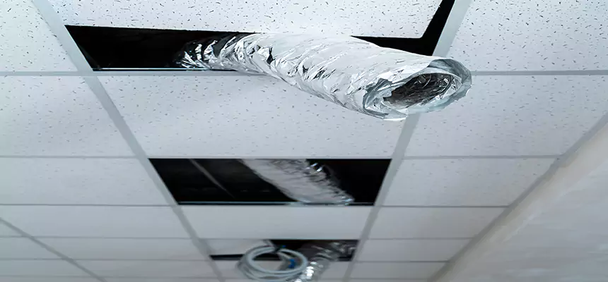 Our Air Duct Pet Hair Removal Services in Easton, PA