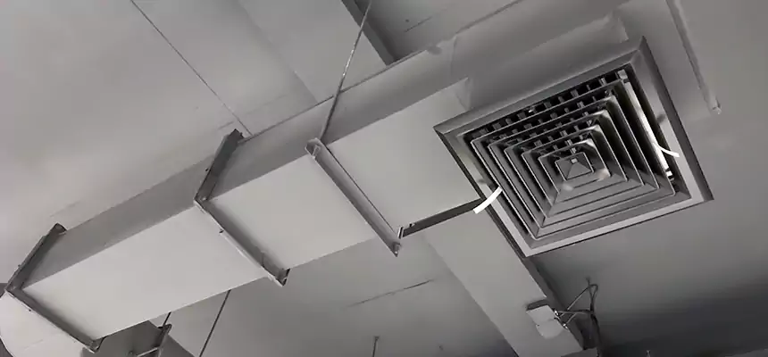 Our Pest Removal From Ducts Services in Easton, PA