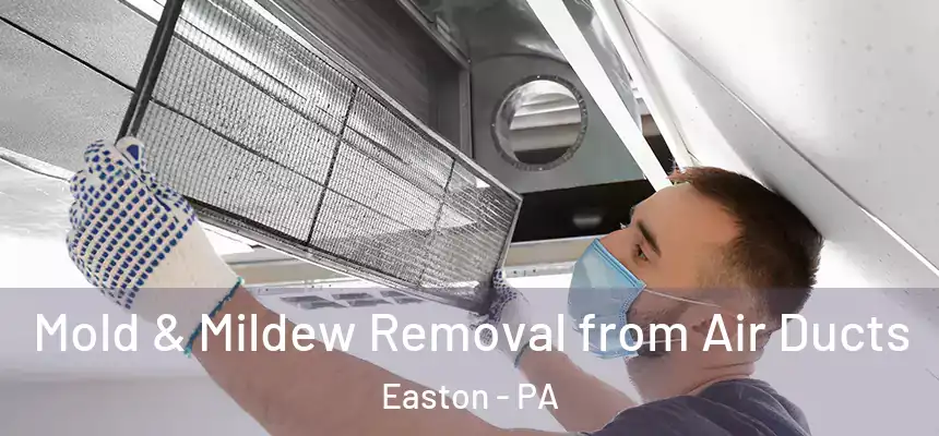  Mold & Mildew Removal from Air Ducts Easton - PA