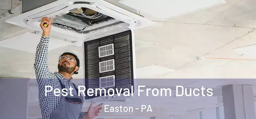  Pest Removal From Ducts Easton - PA