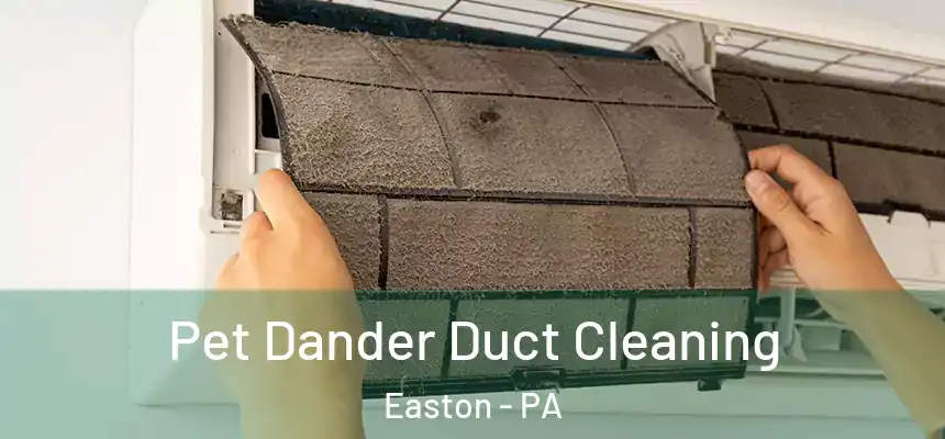  Pet Dander Duct Cleaning Easton - PA