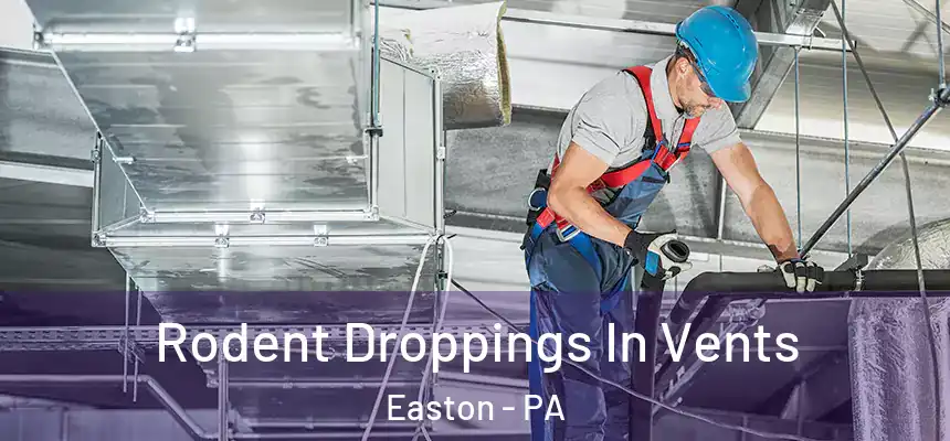  Rodent Droppings In Vents Easton - PA