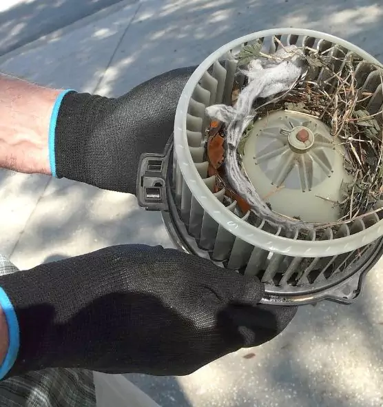 About Air Duct Mice Removal in Easton, PA