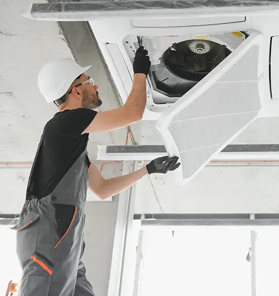 About Air Duct Rodent Removal in Easton, PA