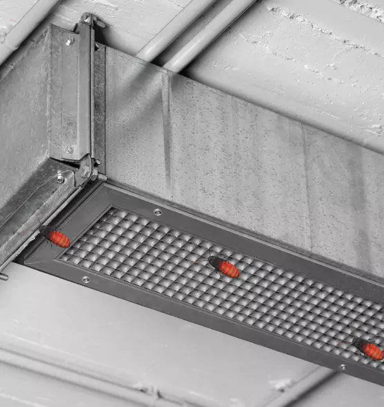 Affordable Insect Removal from Air Ducts in Easton, PA