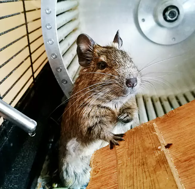 Why Homeowners & Businesses Trust Us Easton, PA