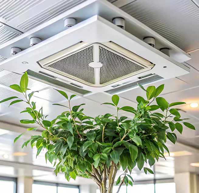 Why Homeowners & Businesses Trust Us in Easton, PA?