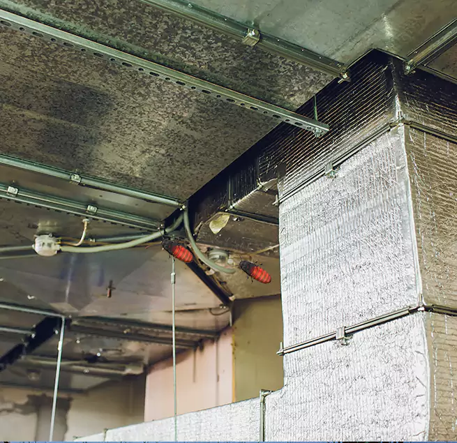 Why Homeowners & Businesses Trust Us Easton, PA?