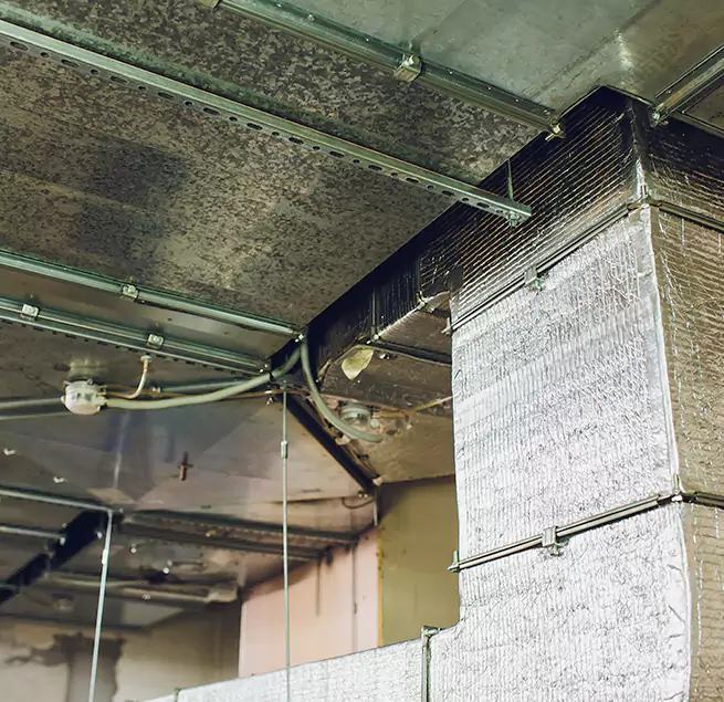 Why Homeowners & Businesses Trust Us in Easton, PA?